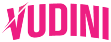 Vudini
